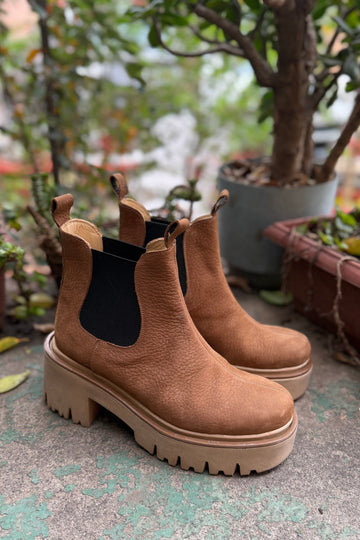PREVENTA  🏷️ Dafne Café Avellana Terraplén