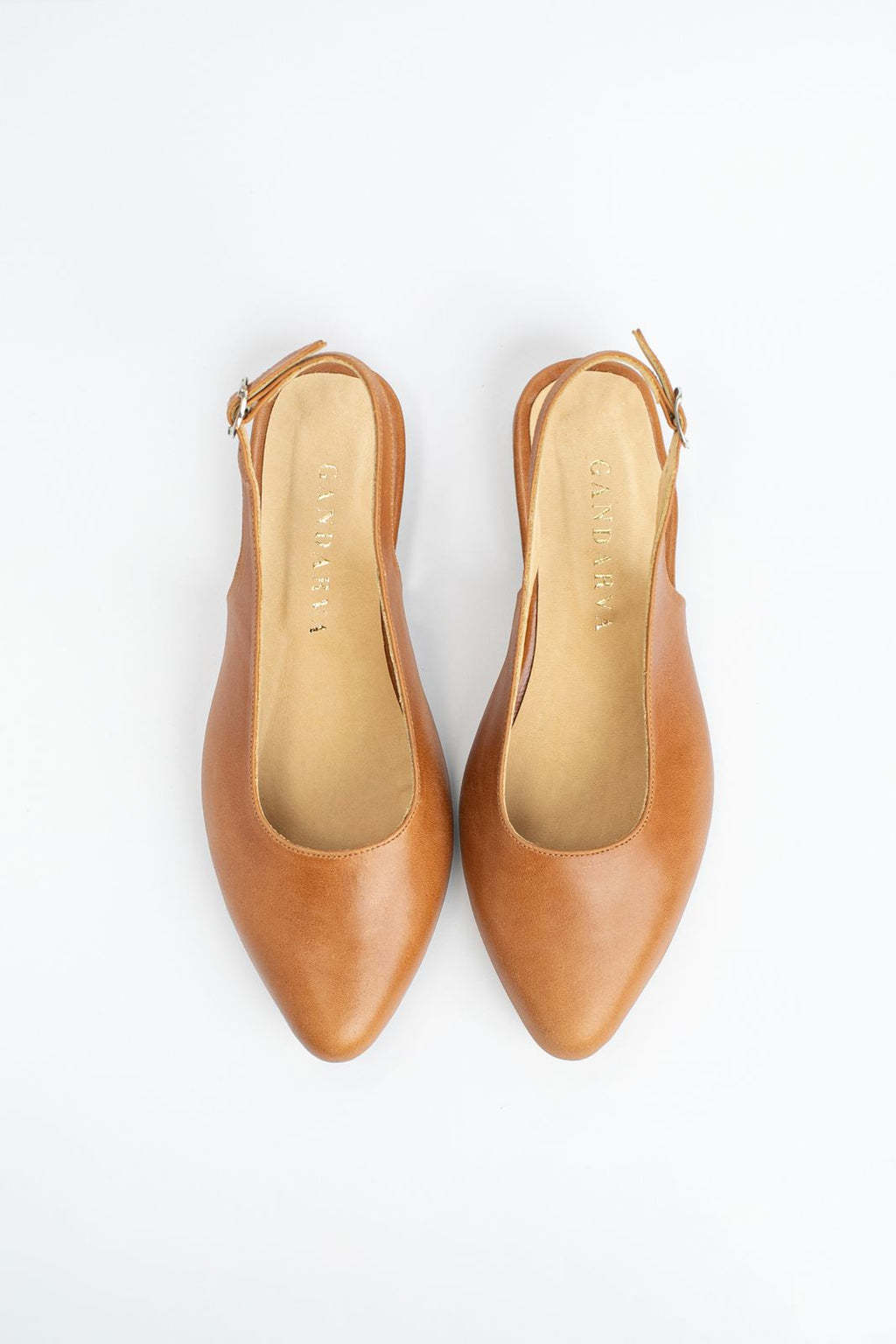 Sarita Camel